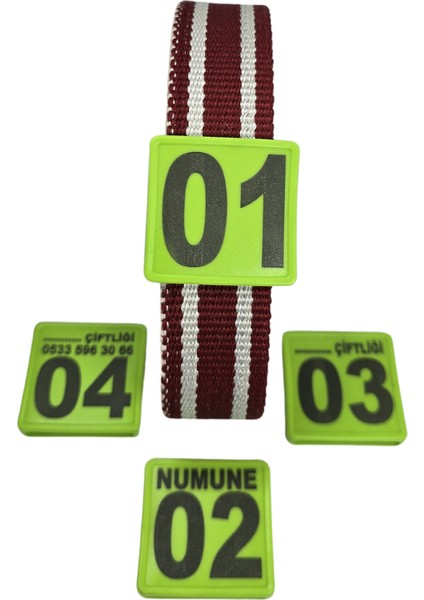 500 Adet Yeşil Renk Küçükbaş Hayvan Boyunluk Kemer ve Numaratör Takımı (Kemer+Numara)