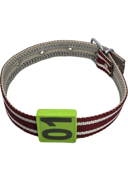 500 Adet Yeşil Renk Küçükbaş Hayvan Boyunluk Kemer ve Numaratör Takımı (Kemer+Numara) modelleri