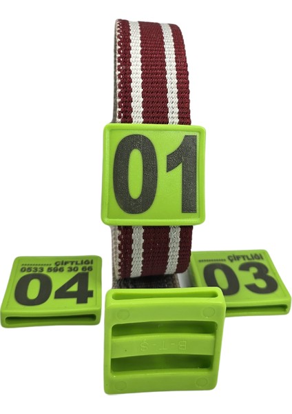 500 Adet Yeşil Renk Küçükbaş Hayvan Boyunluk Kemer ve Numaratör Takımı (Kemer+Numara) fırsatları