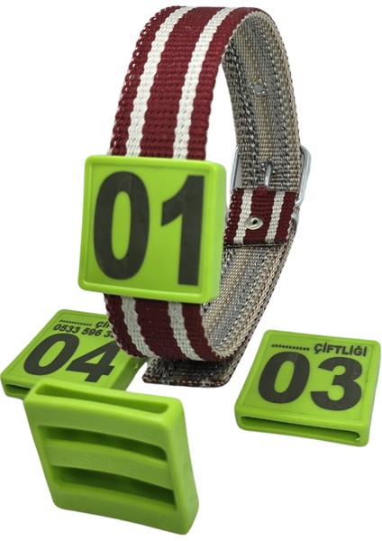 500 Adet Yeşil Renk Küçükbaş Hayvan Boyunluk Kemer ve Numaratör Takımı (Kemer+Numara)