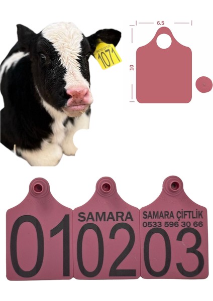 Büyükboy 500 Adet Pembe Xl Büyükboy Hayvan Küpesi+Pens Ucu Hediye