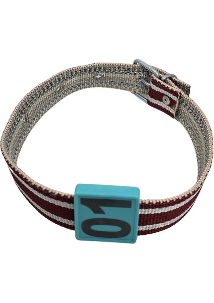 350 Adet Turkuaz Renk Küçükbaş Hayvan Boyunluk Kemer ve Numaratör Takımı (Kemer+Numara) modelleri