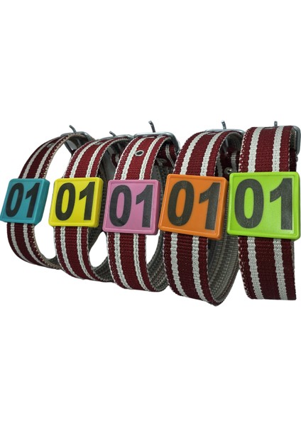 350 Adet Turkuaz Renk Küçükbaş Hayvan Boyunluk Kemer ve Numaratör Takımı (Kemer+Numara) indirimleri