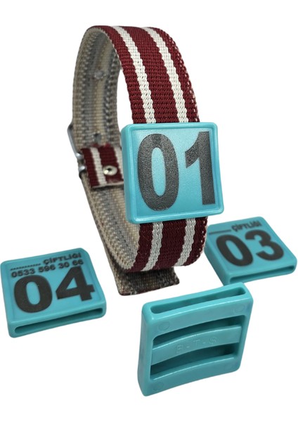 350 Adet Turkuaz Renk Küçükbaş Hayvan Boyunluk Kemer ve Numaratör Takımı (Kemer+Numara)