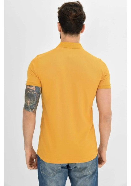 Erkek Hardal Polo Yaka Likralı T-Shirt T621 modelleri