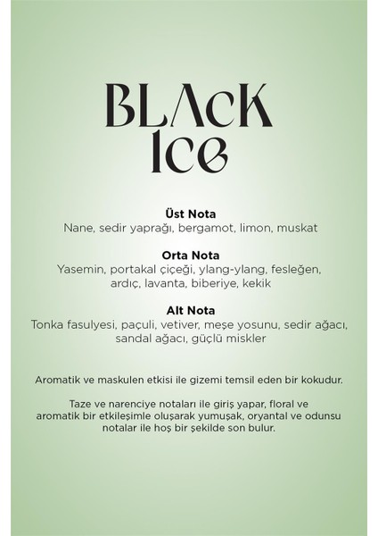 Black Ice Auramax Koku Kartuşu 250 ml modelleri