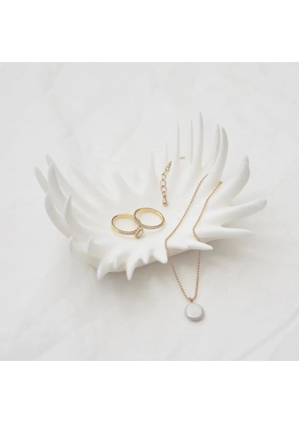 Beyaz Çok Amaçlı Diken Tepsisi ve Takı Düzenleyici