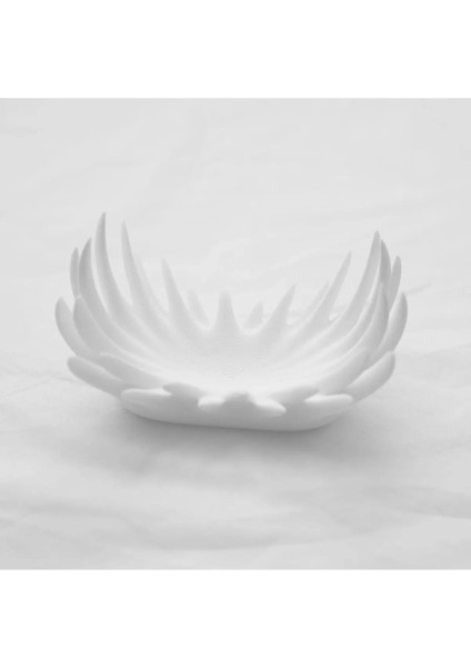 Beyaz Çok Amaçlı Diken Tepsisi ve Takı Düzenleyici fırsatları