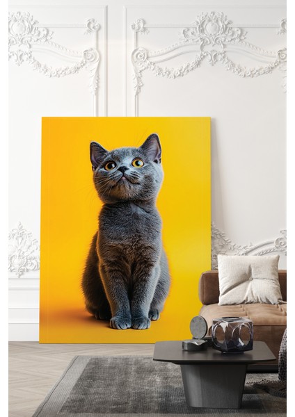 British Short Hair Kül Rengi Kedi Kanvas Tablo