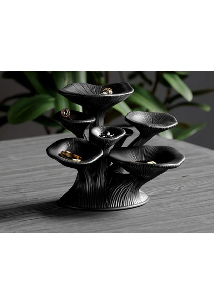 Şık Siyah Ev Dekoratif Takı Organizasyonu, Huzurlu ve Düzenli Alan Için Ideal