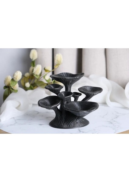 Şık Siyah Ev Dekoratif Takı Organizasyonu, Huzurlu ve Düzenli Alan Için Ideal fiyatları