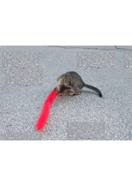 Büro Ev Ofis Evcil Pet Hayvanı Kedi Hediyesi Için Tırmalama Fırçası Oyuncağı