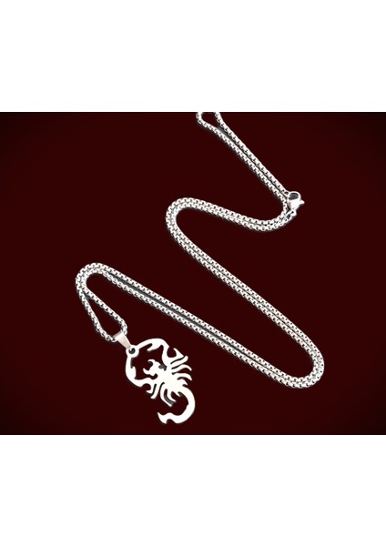 Akrep Burçlarına Özel Paslanmaz Çelik Akrep Kolye / 65 cm Zincirli