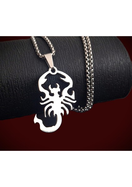 Akrep Burçlarına Özel Paslanmaz Çelik Akrep Kolye / 65 cm Zincirli fiyatları