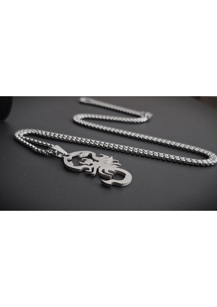 Akrep Burçlarına Özel Paslanmaz Çelik Akrep Kolye / 65 cm Zincirli modelleri