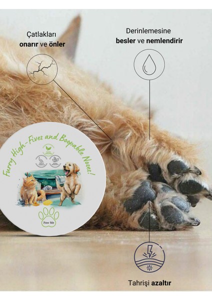 Pati Burun Balm 50 ml | Nemlendirici Çatlak Onarım Kremi | Doğal Organik Içerik | Kedi Köpek modelleri