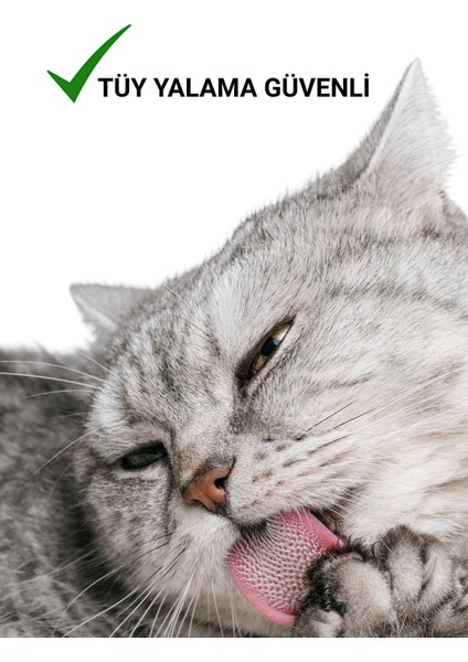 Pati Burun Balm 50 ml | Nemlendirici Çatlak Onarım Kremi | Doğal Organik Içerik | Kedi Köpek indirimleri