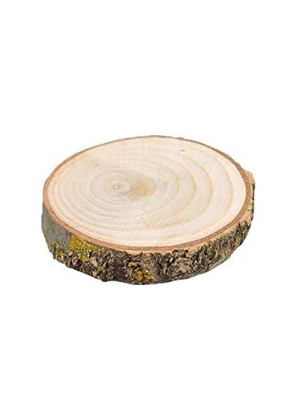 Ahşap Bardak Altlığı Yuvaylak Ağaç Bardak Altlığı Doğal Ağaç Çap 9-10 cm modelleri