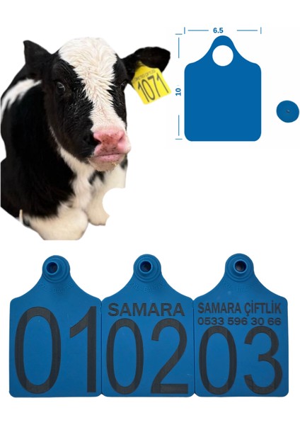 Büyükboy 250 Adet Mavi Xl Büyükboy Hayvan Küpesi+Pens Ucu Hediye