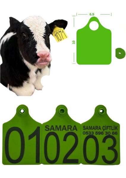 Büyükboy 450 Adet Yeşil Xl Büyükboy Hayvan Küpesi+Pens Ucu Hediye