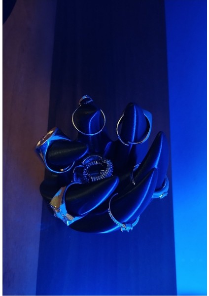 Şık Siyah Dekoratif Takı Yüzük Aksesuar Standı fiyatları