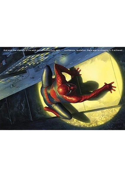 The Marvel Comics Art Of Alex Ross fiyatları