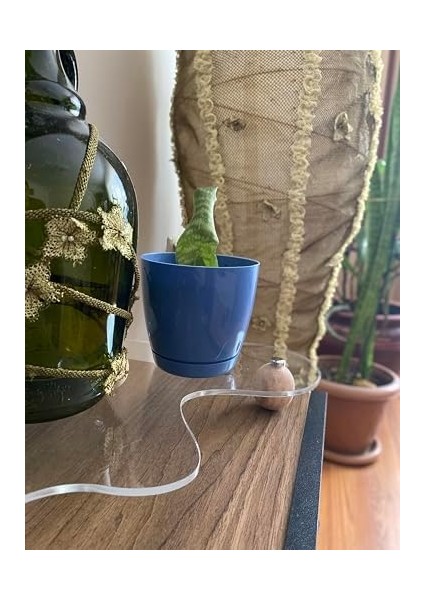 Şeffaf Organizer Takı Aromaterapi fiyatları