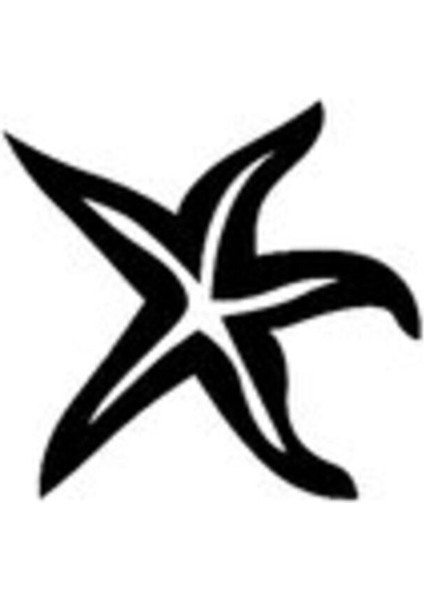 BYR002 Denizyıldızı Oto Motor Laptop Duvar Folyo Sticker 30X27 cm [efsngrck]