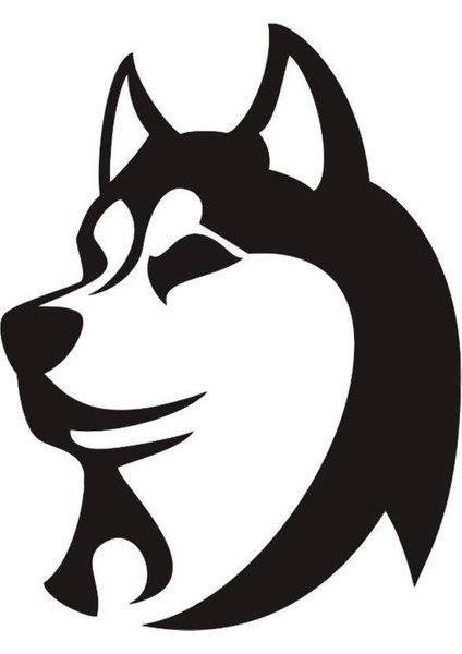 Kurt Oto Sticker 25 x 32 cm Aracınıza Yeni Bir Tarz Katın