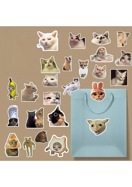 Komik Kedi/ Meme Cat Sticker Paketi/bullet Journal Defter Çıkartma Ajanda Laptop Etiket