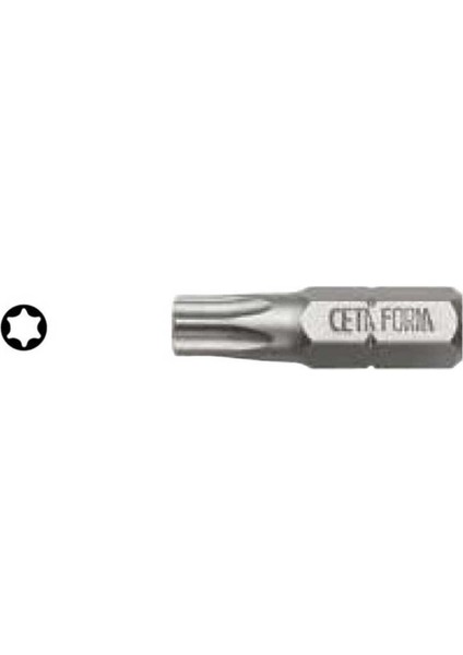 T15X25MM Torx Uçlu Bits - Çok Amaçlı ve Dayanıklı Takım