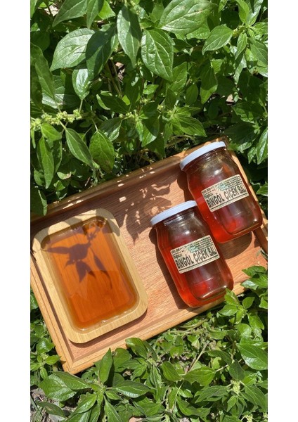 Bingöl Çiçek Balı 450 gr fiyatları