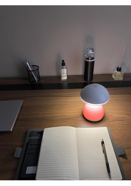 Beyaz Mantar Tasarımlı Gece ve Masa Lambası, Şık ve Modern Aydınlatma Parçası