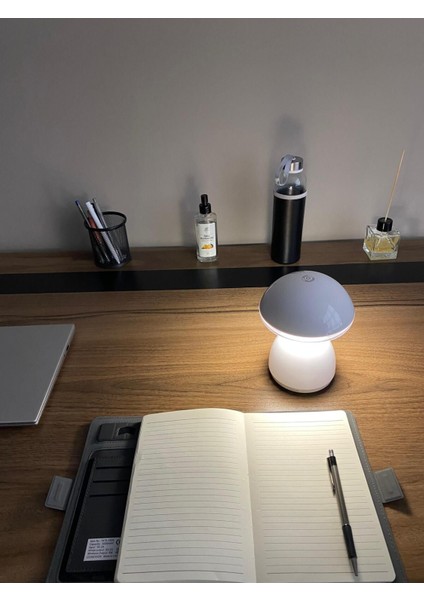 Beyaz Mantar Tasarımlı Gece ve Masa Lambası, Şık ve Modern Aydınlatma Parçası