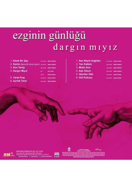 Ezginin Günlüğü Dargın Mıyız? (Plak) fiyatları