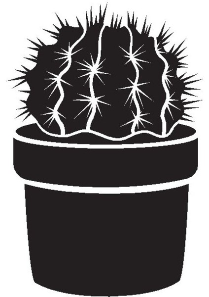 Saksı Çiçeği Kaktüs Oto Motor Laptop Duvar Folyo Sticker (Tip 6) 30X45 cm