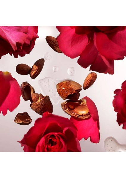 The Ritual Of Ayurveda Beauty Bar 100G, %91 Doğal Içerikli Şampuan ve Vücut Sabunu fiyatları