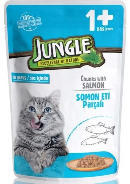 Somonlu Yetişkin Kedi Maması 100 gr 24 Adet