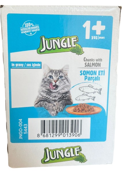 Somonlu Yetişkin Kedi Maması 100 gr 24 Adet modelleri