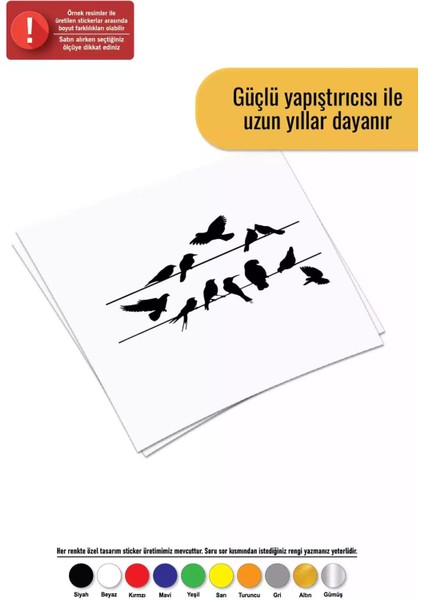 Teldeki Kuşlar Sticker Oto Motor Laptop Duvar Folyo Sticker 40 x 28 cm