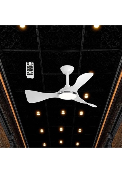 Cenevre Ledli Tavan Vantilatörü CT-3000