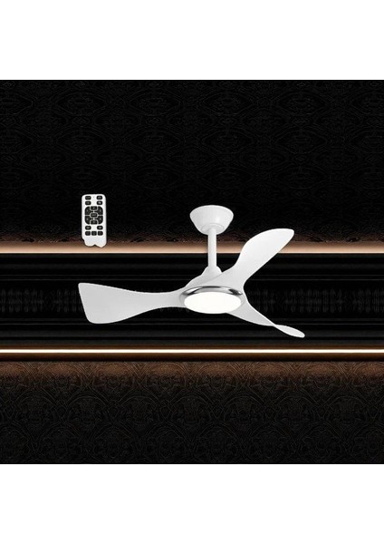 Cenevre Ledli Tavan Vantilatörü CT-3000 modelleri