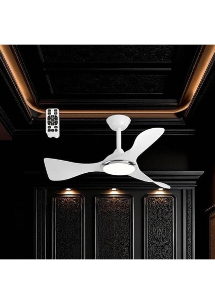 Cenevre Ledli Tavan Vantilatörü CT-3000 fırsatları