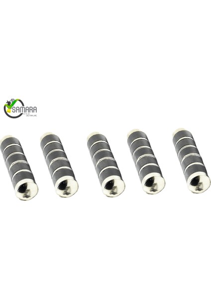 Metal Başlı Rumen Japon Mıknatıs (5 Adet)