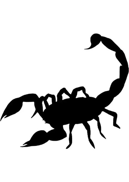 Akrep Oto Sticker Siyah 30 x 27 cm Aracınıza Yeni Bir Tarz Katın