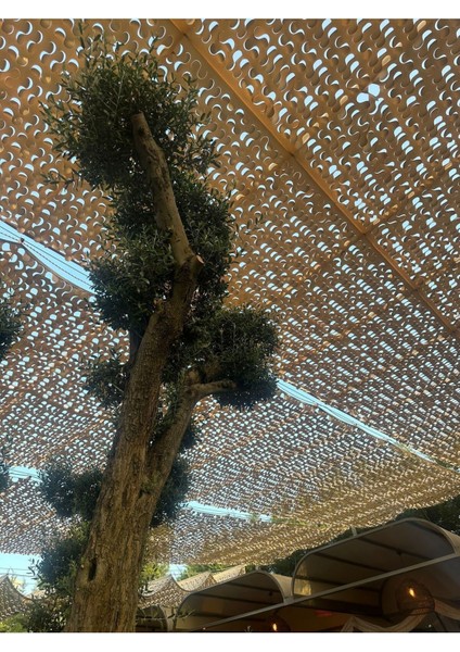Bej Kamuflaj Gölgelik 3X3M, Şık ve Pratik Gölgelik Çözümü fırsatları
