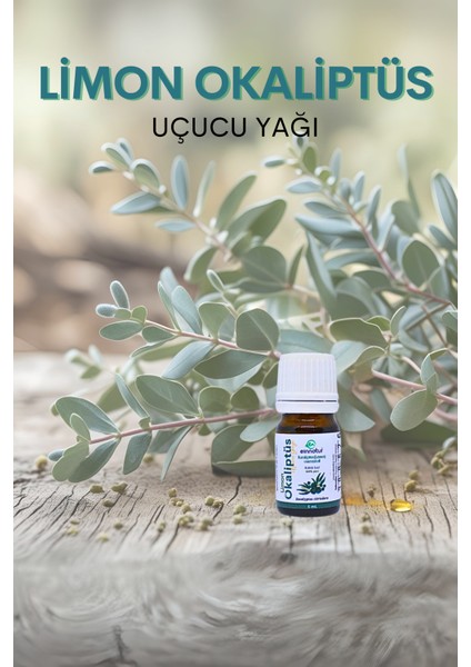 Okaliptüs Limon 5 Ml, Çay Ağacı 10 Ml, Lavanta Uçucu Yağı 10 Ml, Spreyli Şişe, E Citriodora fırsatları