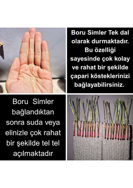 Hazır Çapari Kombini Boru Sim Ultraviyole Uv Neon Sedef Fıstık Yeşili Makara indirimleri