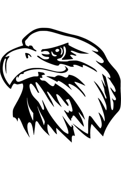 BYR002 Kartal Sticker Oto Motor Laptop Duvar Folyo Sticker 30X30 cm [efsngrck]
