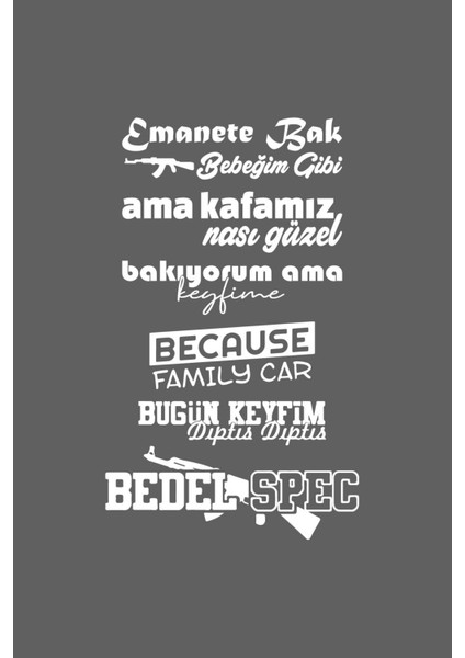 Araba Arka Cam Sticker Seti 40*20 cm Araç Arka Cam Etiket Folyo